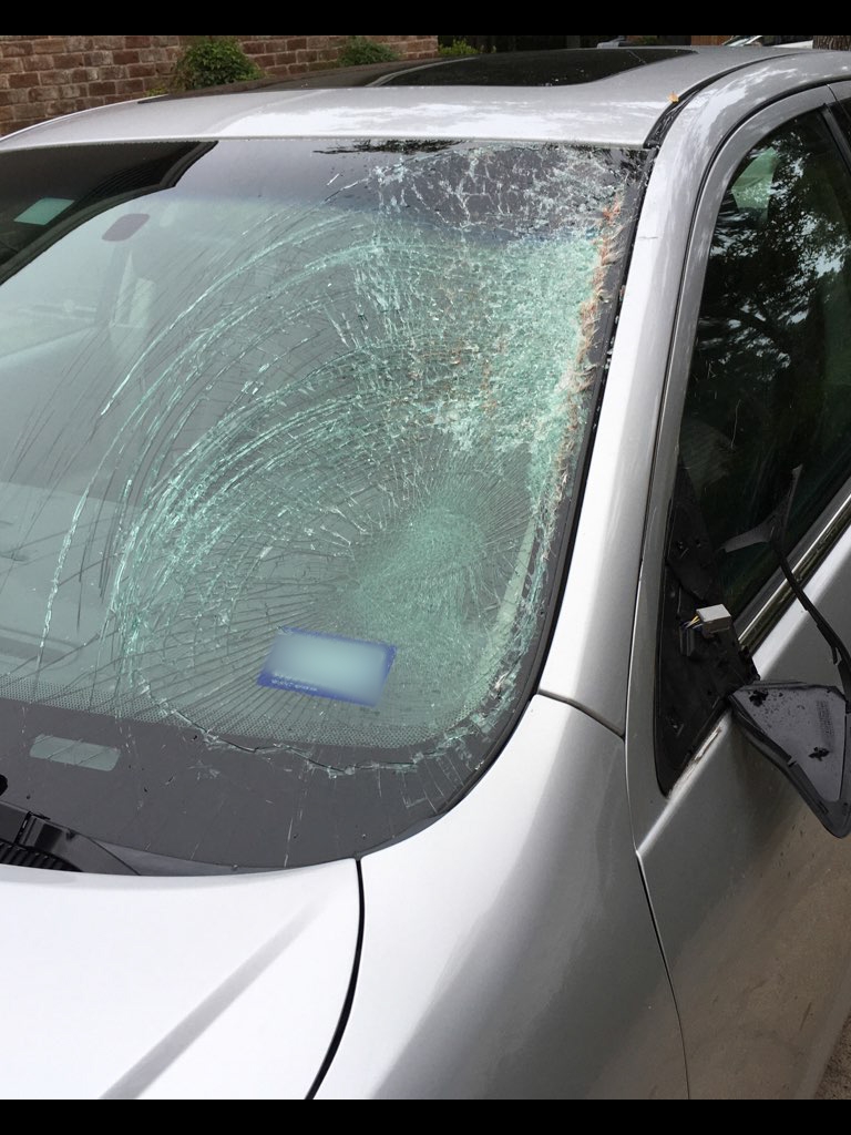 Deer Collision_photo by Nancy McCue AAA Texas member_10-27-20.00_00_06_23.Still002