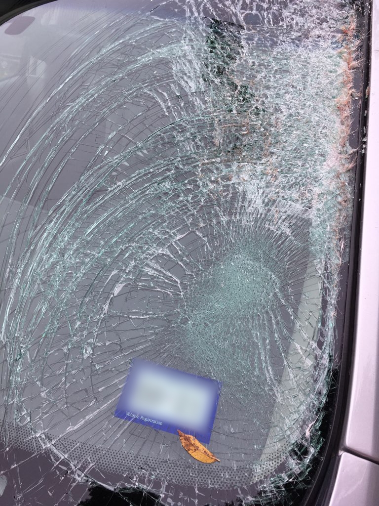 Smashed Windshield from Deer Collision