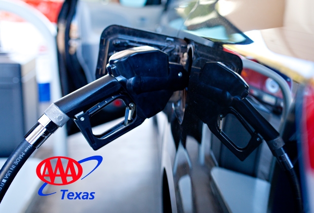 txgasreport_car at pump