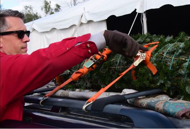 Christmas tree transport