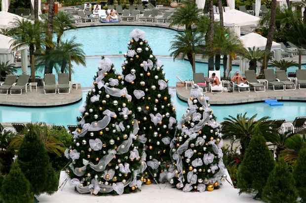Tropical Christmas by Chad H