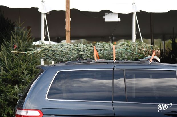 carchristmastree-FINAL