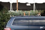 AAA Has the Scoop on Safely Transporting a Christmas Tree 