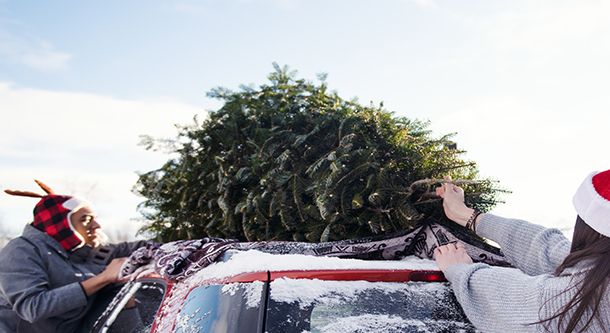 christmas tree