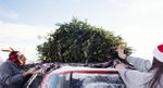 AAA Offers Tips To Safely Transport Your Christmas Tree