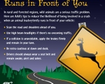 AAA warns motorist that deer collisions peak in mid-November