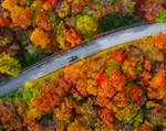 AAA: Fewer Americans Traveling This Thanksgiving 