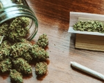 High Stakes: How Cannabis Consumers View Driving While Under the Influence