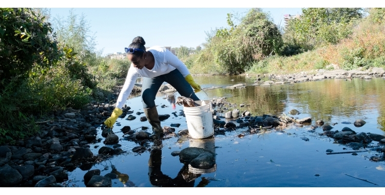 Mill River Clean Up