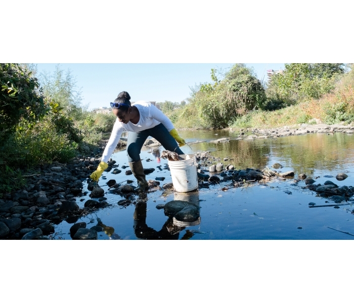 Mill River Clean Up