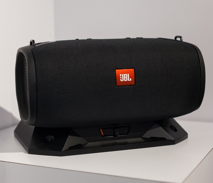 JBL BassPro Go 