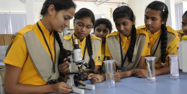 stem 2
