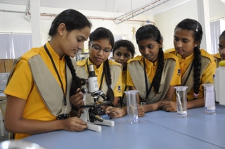 stem 2