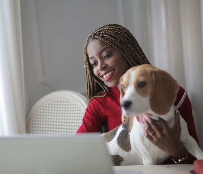 WFH image 3
