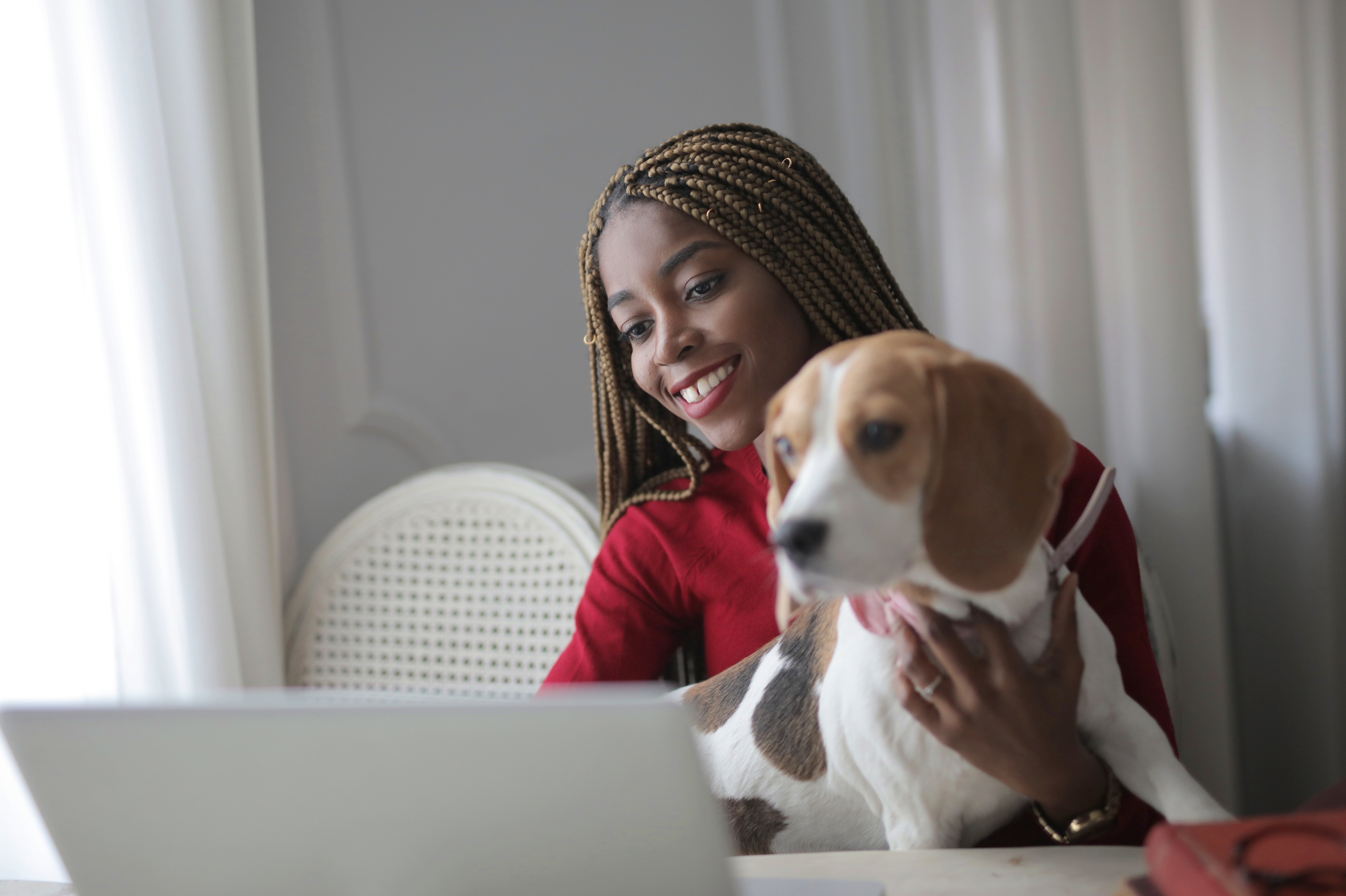 WFH image 3