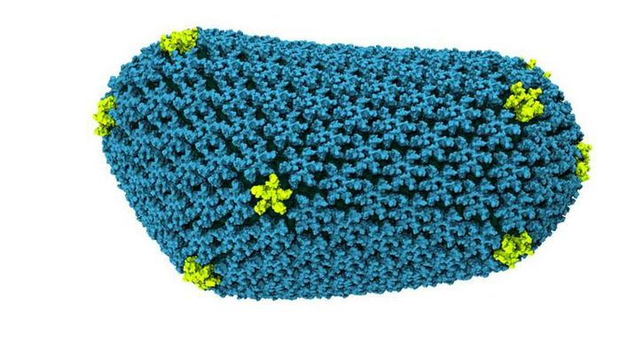 Breakthrough in HIV Research Enabled by NVIDIA GPU Accelerators