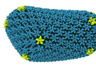 All-atom model of the HIV-1 capsid (PDBID: 3J3Y) -- Courtesy of TCBG-UIUC