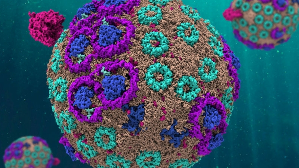 Supercomputers Get the Hard Cell: Researchers Use GPUs to Discover Molecular Design Principles of Photosynthesis