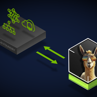NVIDIA AI Foundry for Custom Llama 3.1 Generative AI Models