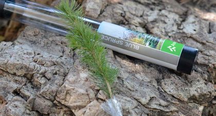 Associated Bank gifts nearly 13,000 Arbor Day Foundation saplings to customers to further build roots in the community 