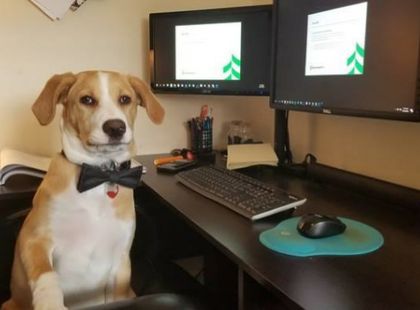 Week 2: Colleagues are 