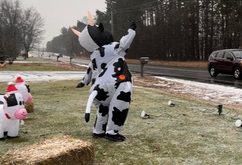 The herd has retired to the barn for this season but plans to be back next year