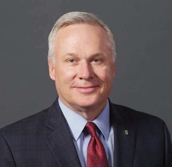 David Stein 