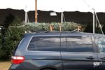 AAA Urges Drivers to Safely Secure Holiday Trees