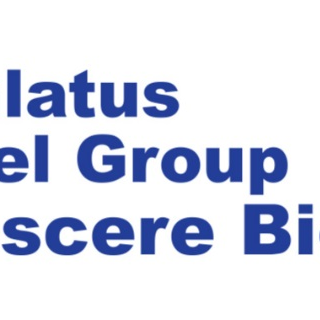 SIMLATUS CORPORATION