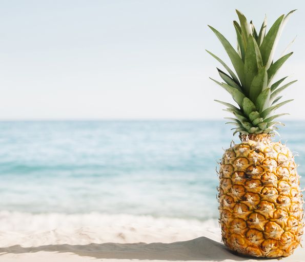 pineapple1