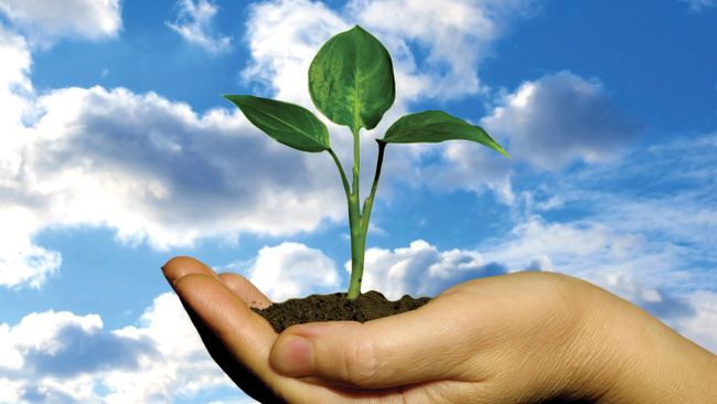 Montgomery Co. Boys and Girls Club promotes healthy living with Duke Energy grant for local community garden