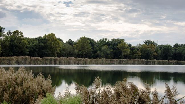 Duke Energy to recycle coal ash at H.F. Lee Plant in Goldsboro