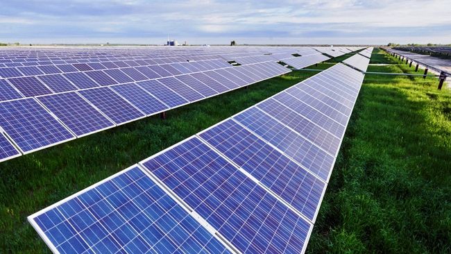 Going green and diverse: Duke Energy Florida completes two financings totaling $900 million