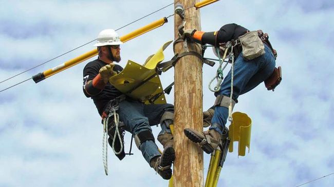 Hard hats, heights and heroes: 9 facts you might not know about lineworkers