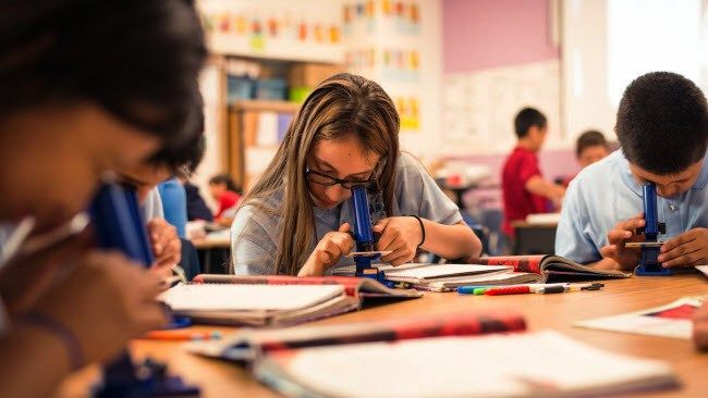 Duke Energy offers Palmetto State teachers $200,000 for literacy, STEM projects