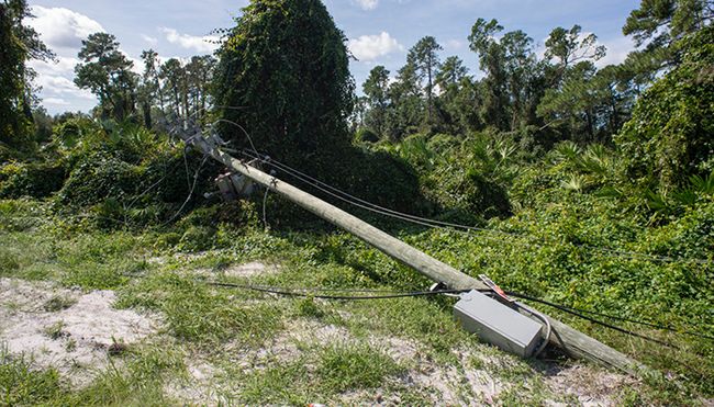 A downed power pole in Florida.