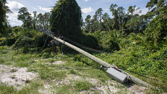 A downed power pole in Florida.