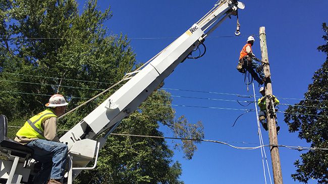 Hurricane Matthew Clean-up
