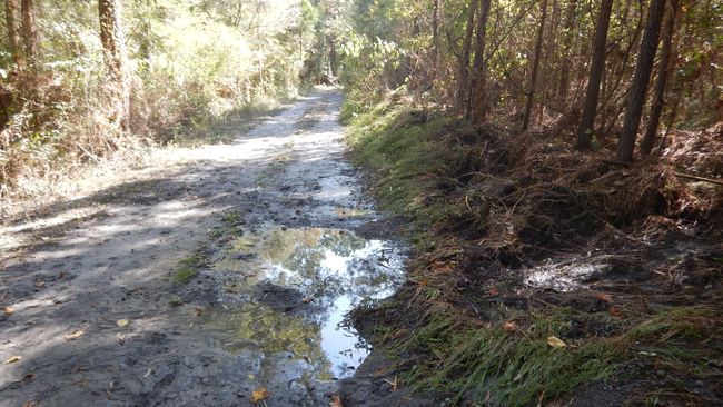 Example of Erosion in Inactive Basin