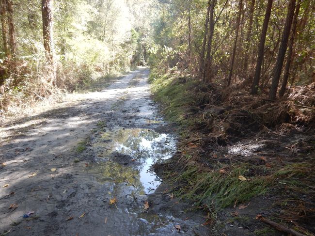 Example of Erosion in Inactive Basin