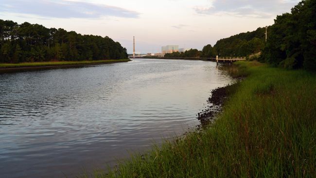 Canal, Plant-side