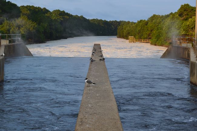 Outfall