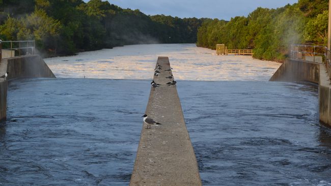 Outfall