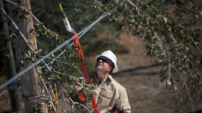 Duke Energy afronta los cortes de suministro eléctrico en Florida; 800,000 cortes han sido restablecidos después del huracán  Irma