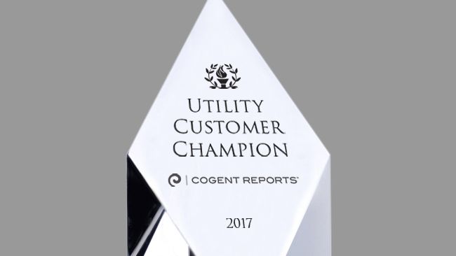 Piedmont Natural Gas named Natural Gas Utility Customer Champion