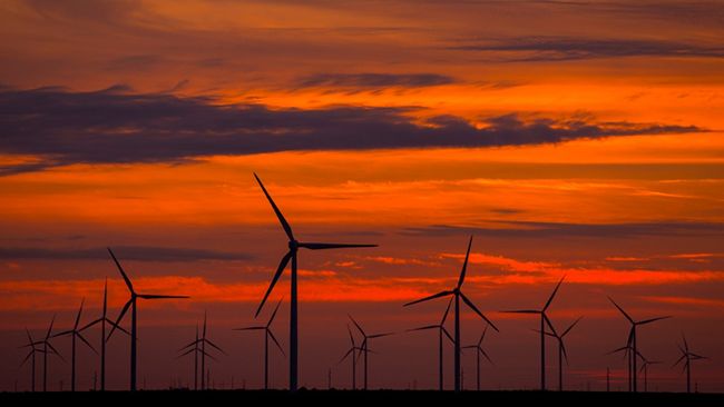 Duke Energy Renewables to use new technology to help protect bats at its wind sites