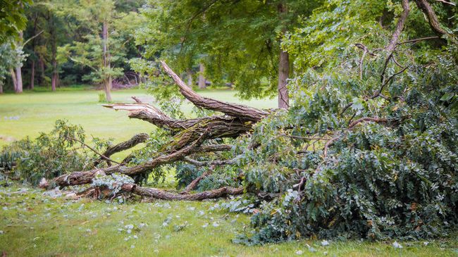 Piedmont Natural Gas offers assistance to Nashville residents and customers impacted by destructive tornado