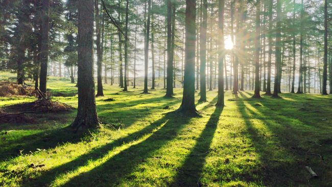 Duke Energy delivers $170,000 in grants to organizations that preserve, enhance North Carolina’s natural resources