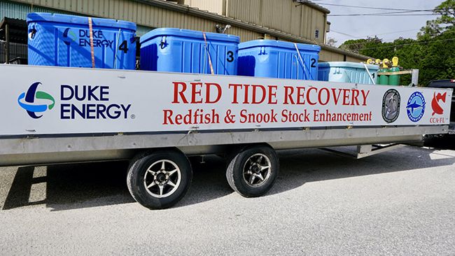 Duke Energy Florida donates $150,000 to Coastal Conservation Association Florida