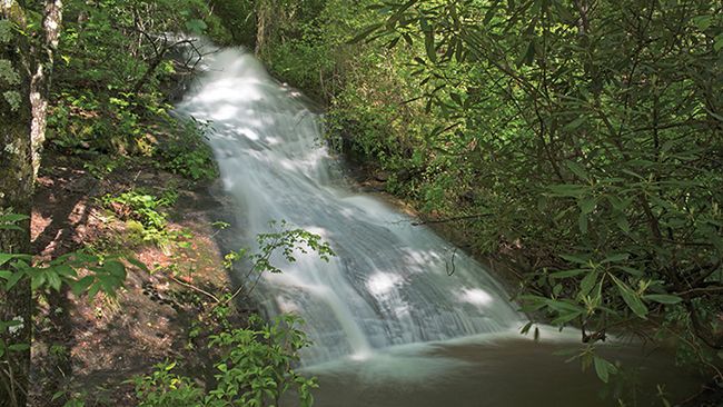 Duke Energy commits nearly $500,000 in grants to organizations that preserve, enhance South Carolina’s natural resources